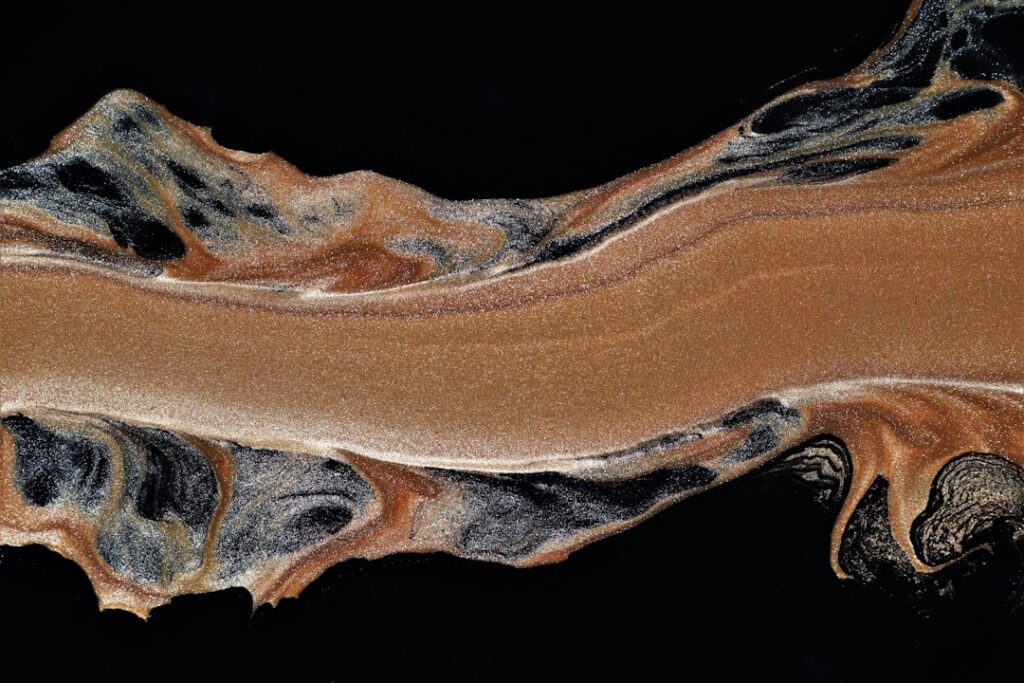 découvrez tout sur la dermatophytose canine, communément appelée champignon des chiens. apprenez à reconnaître les symptômes, les traitements disponibles et les conseils pour prévenir cette infection cutanée chez votre compagnon à quatre pattes.