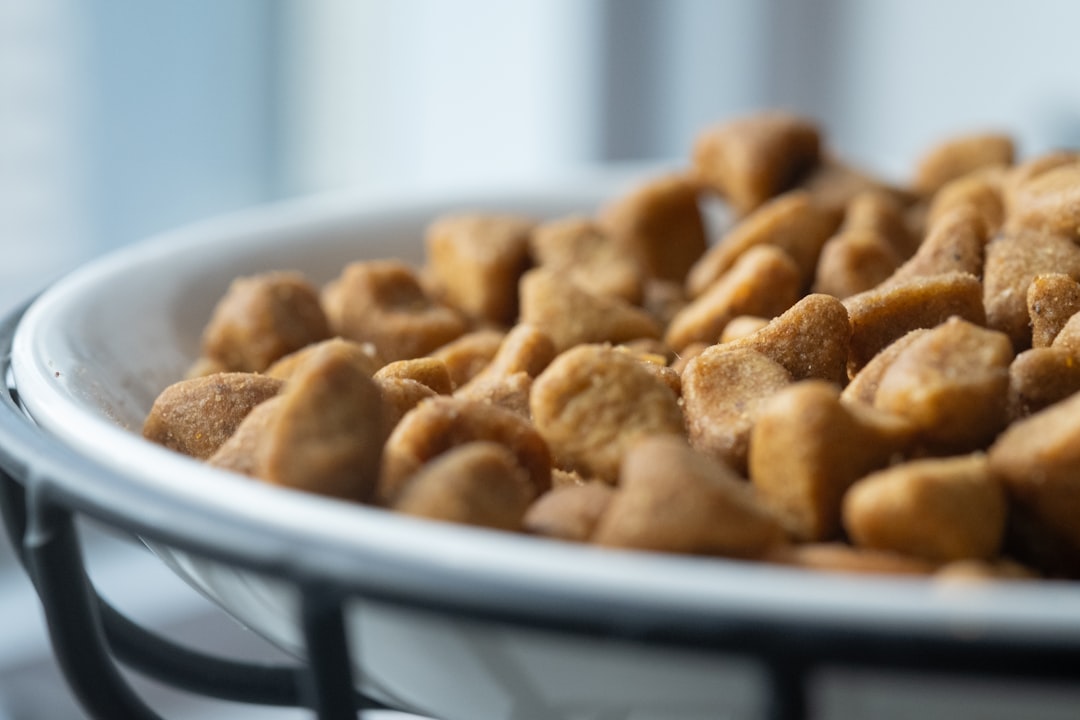 découvrez notre gamme de nourriture pour chiens, spécialement formulée pour répondre aux besoins nutritionnels de votre compagnon à quatre pattes. offrez-lui une alimentation saine et savoureuse pour une vie pleine d'énergie.