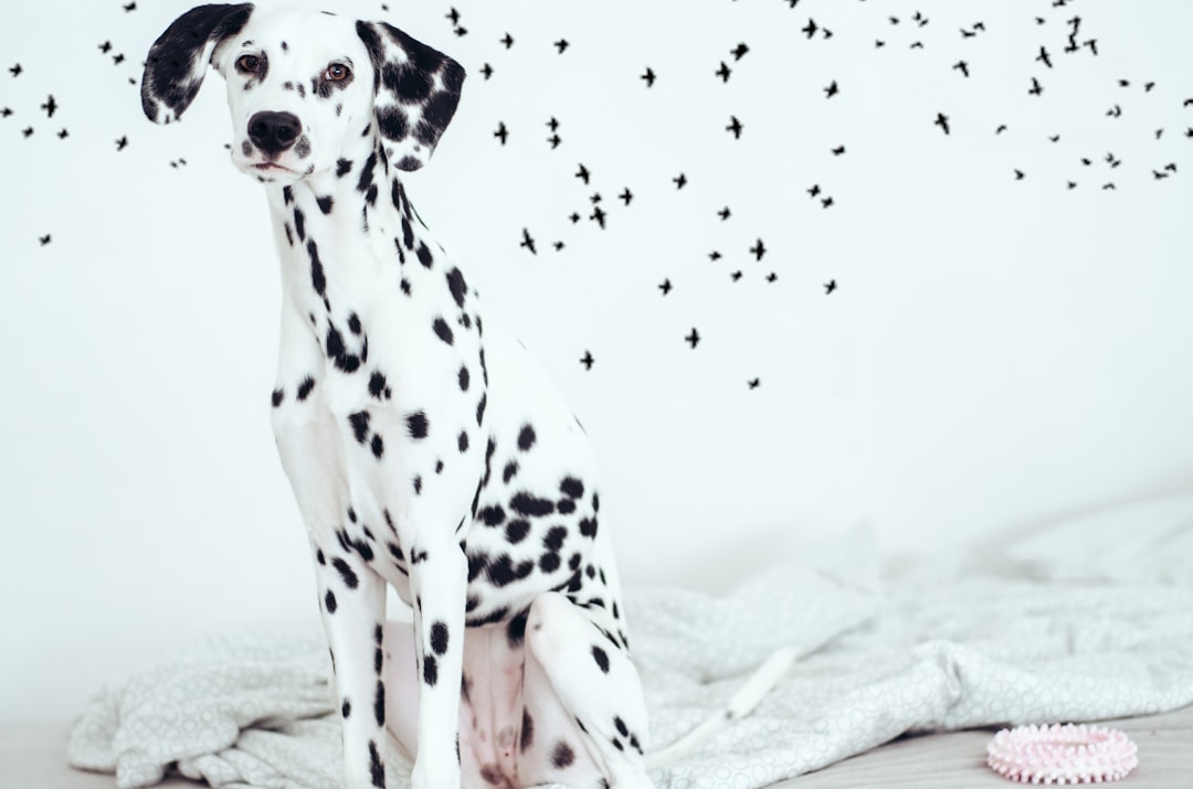 découvrez notre sélection de noms pour chiens, des idées originales et amusantes pour vous aider à trouver le prénom parfait pour votre compagnon à quatre pattes. que vous préfériez des noms classiques, modernes ou inspirés de la culture pop, nous avons ce qu'il vous faut !