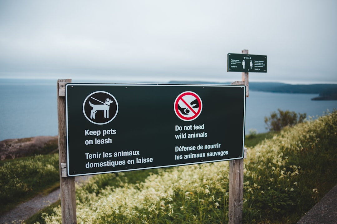 découvrez notre sélection de répulsifs pour chiens qui garantissent de protéger votre espace tout en préservant le bien-être des animaux. explorez des solutions efficaces et respectueuses de l'environnement pour éloigner les chiens indésirables en toute sécurité.