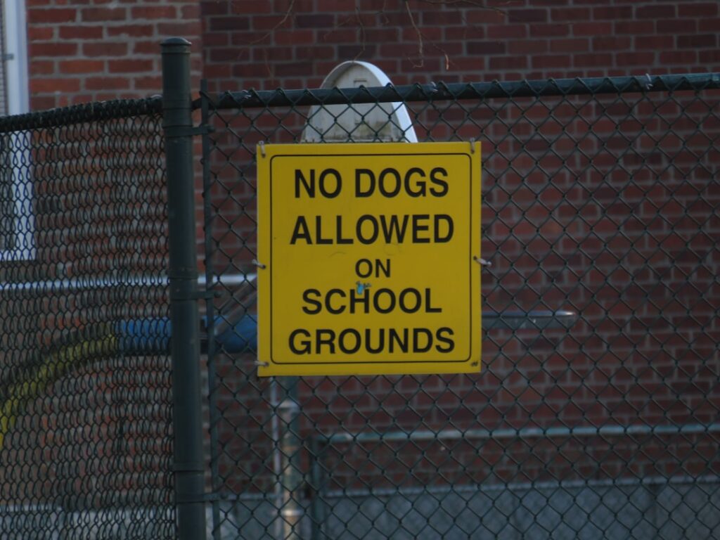 découvrez les races de chiens considérées comme dangereuses, leurs particularités, les réglementations en vigueur et les conseils pour vivre en sécurité avec ces animaux.