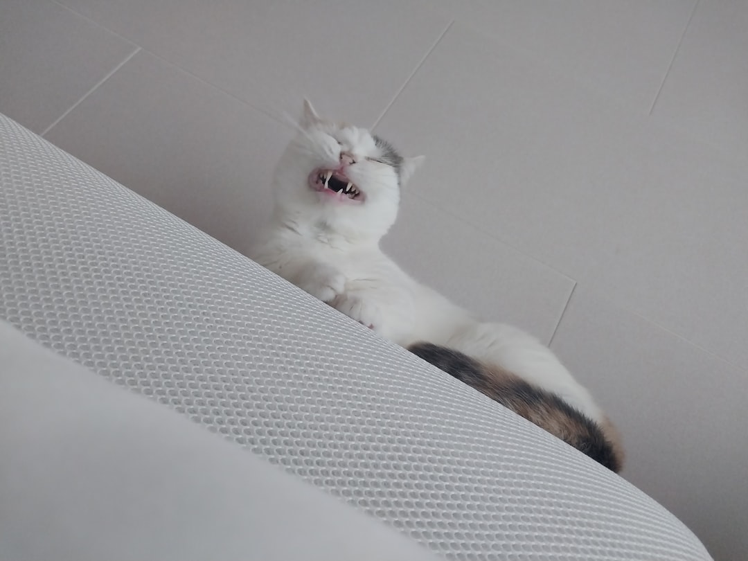 découvrez la licking mat, un tapis d’occupation pour chien et chat qui favorise la stimulation mentale et aide à réduire l’anxiété pendant les repas ou les moments de jeu. idéal pour ralentir la prise alimentaire et divertir votre animal au quotidien.