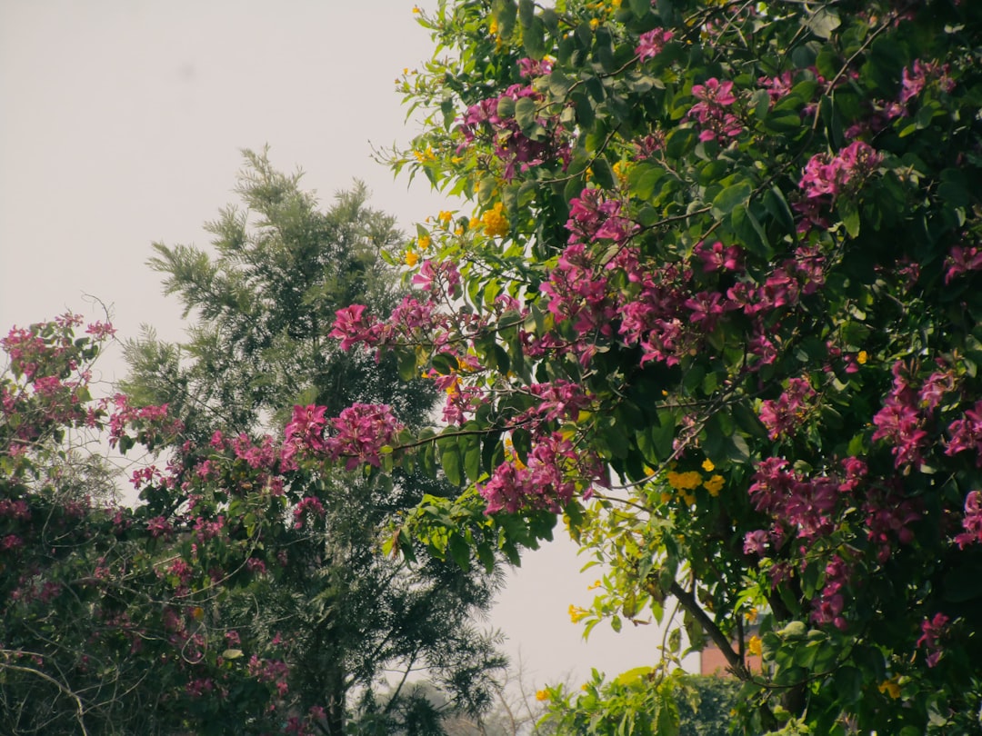 découvrez ce qu'est un lipome : une tumeur bénigne composée de tissu graisseux, ses causes, symptômes, options de traitement et conseils pour le diagnostic. informations claires et à jour sur le lipome pour mieux comprendre cette affection courante.