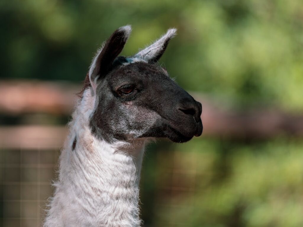 découvrez nos conseils et astuces pour un mode de vie pet-friendly : hébergements, voyages, astuces pratiques et produits pour le bien-être de votre animal de compagnie. adoptez le quotidien idéal pour vous et votre fidèle compagnon !