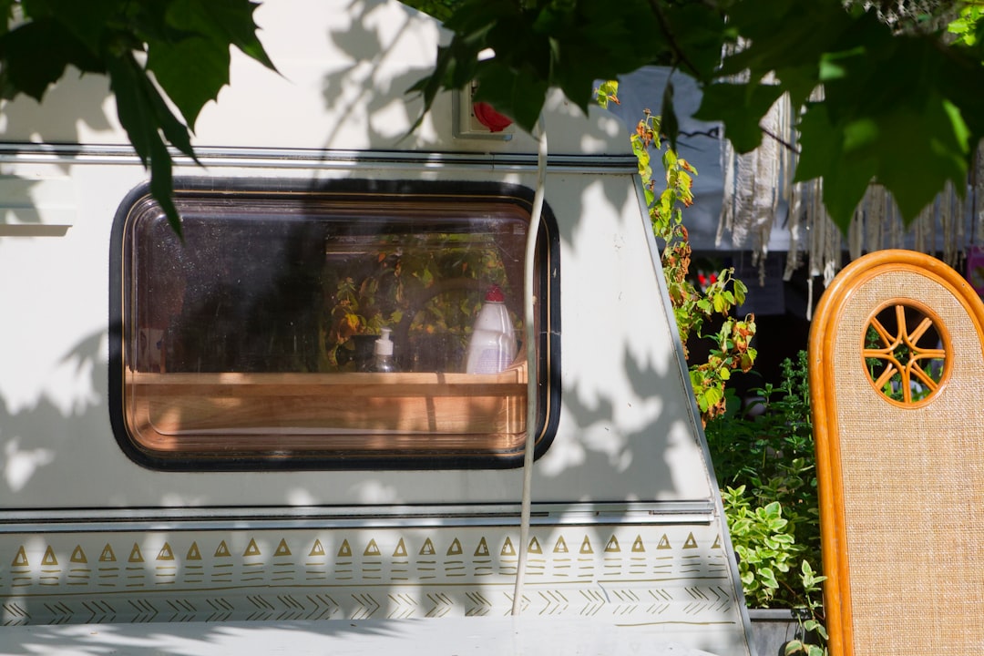 service de crémation respectueux pour chiens, offrant un adieu digne et personnalisé à votre fidèle compagnon.